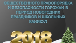 О мерах по обеспечению общественного правопорядка и безопасности горожан в период новогодних праздников и школьных каникул