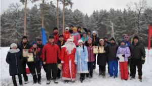 Соревнования по лыжному кроссу на призы Деда Мороза