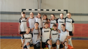 Девочки Гимназии стали победителями регионального этапа общероссийского проекта мини – футбол в школу
