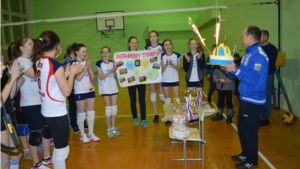 Открытый волейбольный турнир на призы юбиляра Соколова Г.П