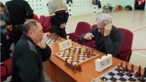 Соревнования по шахматам на приз главы поселения
