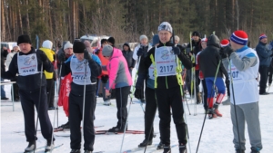 На лыжной трассе п. Палан Шумерлинского района прошли республиканские соревнования по лыжным гонкам среди сотрудников Государственной ветеринарной службы Чувашской Республики