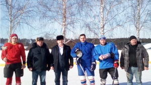 Хоккейный турнир между командами "Ветераны" и "Молодежь"