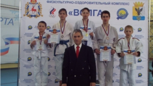 В ФОК «Волга» п.Воротынец прошли соревнования по дзюдо