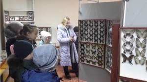 В дни школьных каникул выставочный зал Дома-музея Н.Д. Мордвинова принимал ребят