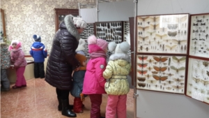С начала весны 370 гостей посетили выставочный зал  Дома-музея Н.Д. Мордвинова