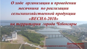 Городской месячник по реализации сельскохозяйственной продукции «Весна - 2018»