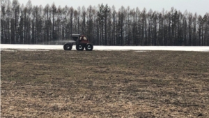 Сельхозтоваропроизводители Мариинско-Посадского района приступили к подкормке озимых зерновых культур