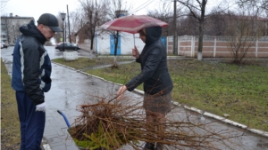 Акция "День дерева"