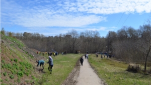 В городе Мариинский Посад прошел экологический субботник