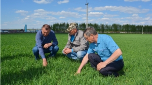 Глава администрации Яльчикского района Николай Миллин ознакомился с весенне- полевыми работами