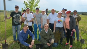 Продолжается акция "Посади дерево и сохрани его"