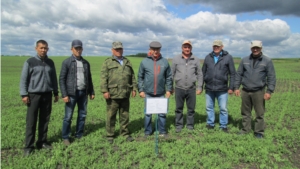 Комиссионные смотры готовности по проведению полевых работ