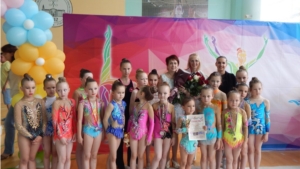 В г. Воронеж прошел классификационный турнир по художественной гимнастике