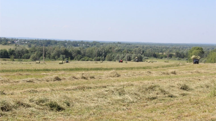 В сельскохозяйственных предприятиях Ядринского района идет полным ходом заготовка кормов
