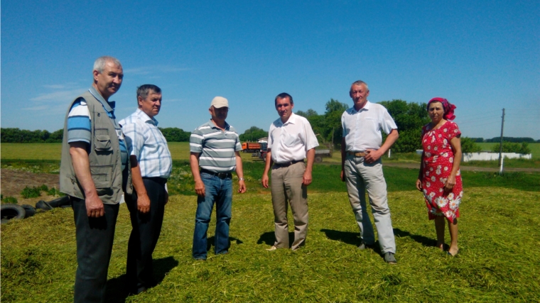 В хозяйствах Яльчикского района завершается заготовка кормов с первого укоса многолетних трав