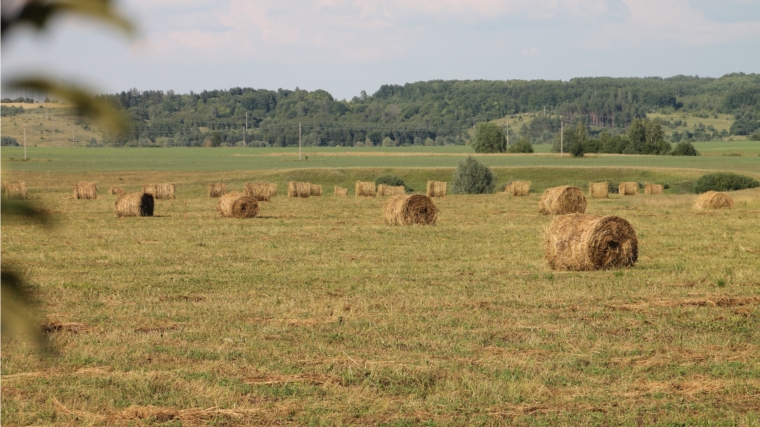 В Шумерлинском районе продолжается заготовка кормов