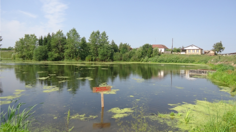В населенных пунктах Вутабосинского сельского поселения в прудах, где нельзя купаться, установлены таблицы &quot;Купаться запрещено!&quot;