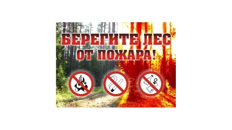 О соблюдении правил пожарной безопасности в лесопарковой зоне города Чебоксары