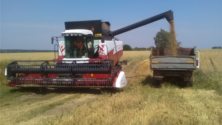 В хозяйствах Ядринского района идет уборка зерновых культур