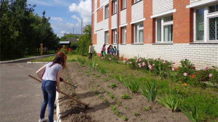 Красота пришкольной территории делает каждого из нас добрее и лучше