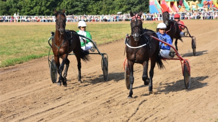 В Ядринском районе состоялись Всероссийские конные бега &quot;Кубок Чувашии&quot;