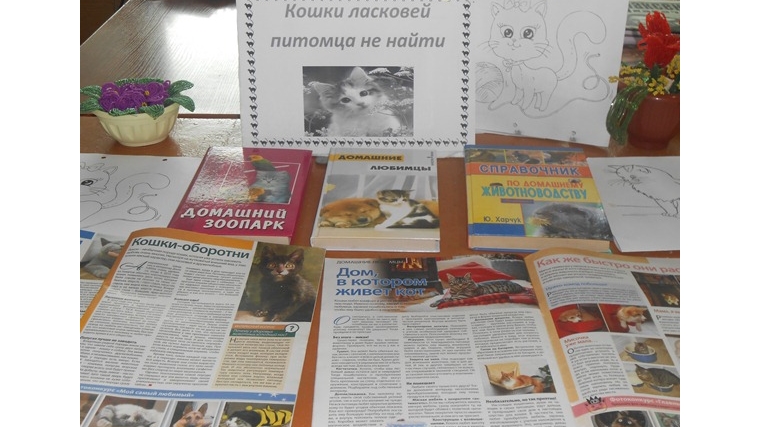 Книжная выставка «Кошки ласковей питомца не найти»