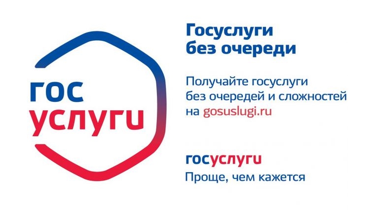 Через портал государственных услуг можно получить услуги отдела социальной защиты населения Московского района