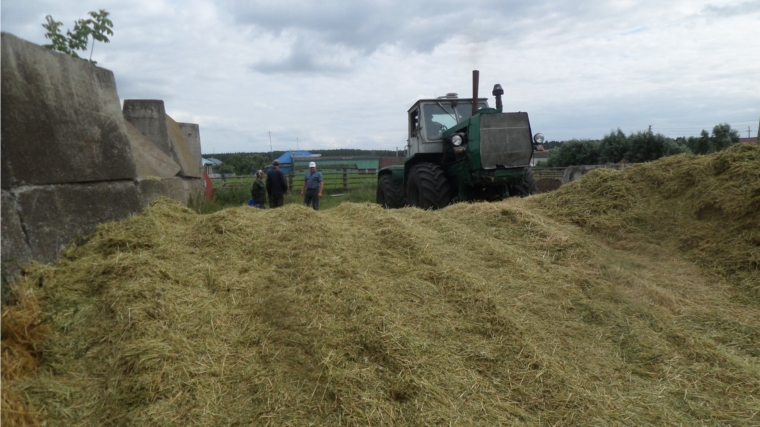 В хозяйствах Шемуршинского района продолжается заготовка кормов