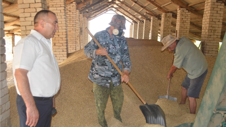 В сельскохозяйственных предприятиях Красноармейского района идут работы по уборке зерновых культур