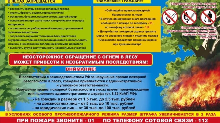Правила пожарной безопасности при нахождении в лесных массивах