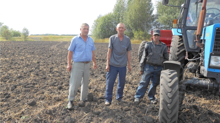 Новости с полей СХПК «Знамя»