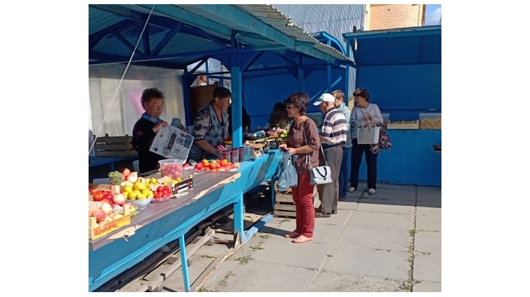 Московский район г. Чебоксары: ярмарка «Дары осени» проходит на двух площадках