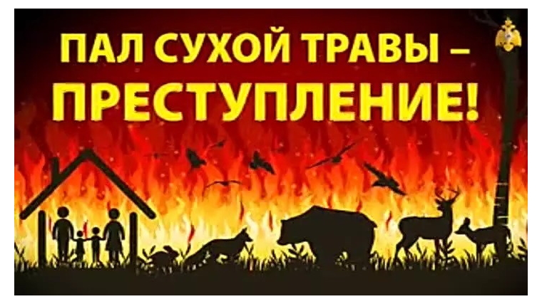За выжигание сухой травы в Янтиковском районе привлечены к административной ответственности в виде штрафа 4 человека