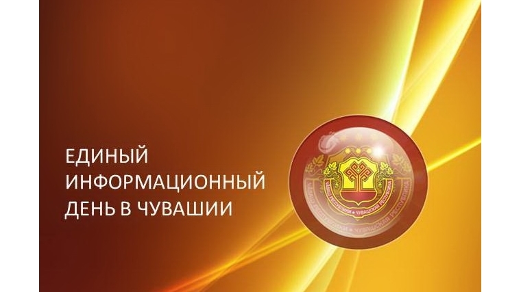 В Московском районе Единый информационный день пройдет в 11 организациях