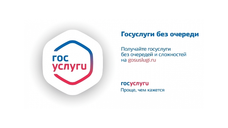 Получить государственные услуги в электронном виде можно на портале госуслуг