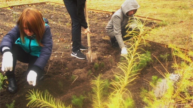 Юные шумерлинцы приняли участие в акции по озеленению родного края