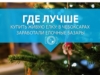 Где лучше купить живую елку: в Чебоксарах заработали елочные базары