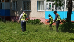 Благоустройство: в Ленинском районе Чебоксар второй покос травы произведен на 43 %