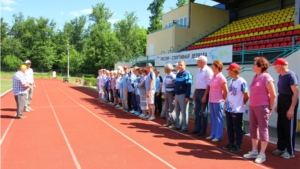 Спартакиада среди лиц старшего поколения «Спортивное долголетие»