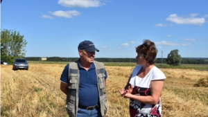 В хозяйствах Аликовского района продолжается уборка урожая