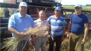 Вести с полей — некоторые хозяйства Ядринского района уборку озимых культур уже завершили