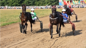 В Ядринском районе состоялись Всероссийские конные бега "Кубок Чувашии"