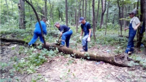 В Ленинском районе провели очистку территории Дубовой рощи от мусора, валежника и аварийных деревьев