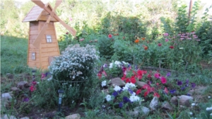 Конкурс цветников на приусадебных участках «Цветочные узоры августа» деревни Булдеево