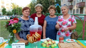 Жители ТОС "Солнечный" провели праздник двора на Хлебный спас