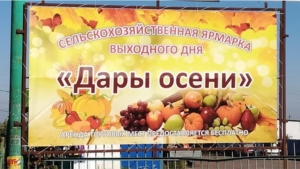 Ярмарка «Дары осени – 2018» предлагает продукцию от производителей