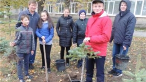 Уроки здоровья в ООШ г. Мариинский Посад