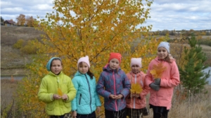 Экскурсия на Поченарку «Изучаем край родной»