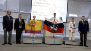 IX Кубок России по каратэ WKC